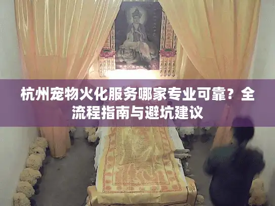 杭州宠物火化服务哪家专业可靠？全流程指南与避坑建议