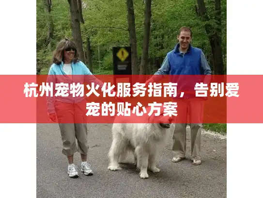 杭州宠物火化服务指南，告别爱宠的贴心方案