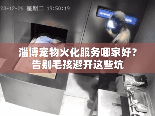 淄博宠物火化服务哪家好？告别毛孩避开这些坑