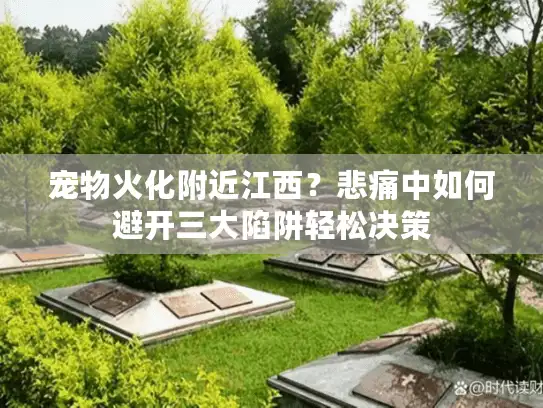 宠物火化附近江西？悲痛中如何避开三大陷阱轻松决策