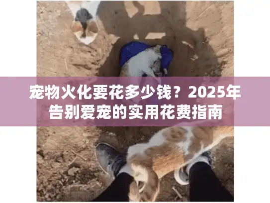 宠物火化要花多少钱？2025年告别爱宠的实用花费指南