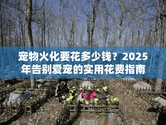 宠物火化要花多少钱？2025年告别爱宠的实用花费指南