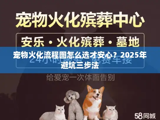 宠物火化流程图怎么选才安心？2025年避坑三步法