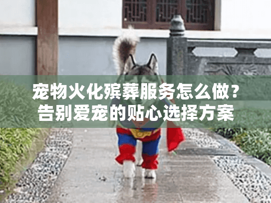 宠物火化殡葬服务怎么做？告别爱宠的贴心选择方案