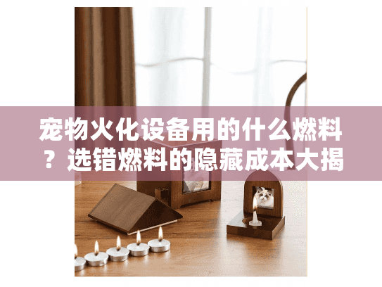 宠物火化设备用的什么燃料？选错燃料的隐藏成本大揭秘