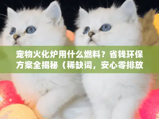 宠物火化炉用什么燃料？省钱环保方案全揭秘（稀缺词，安心零排放）