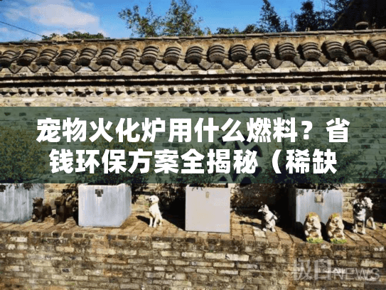 宠物火化炉用什么燃料？省钱环保方案全揭秘（稀缺词，安心零排放）