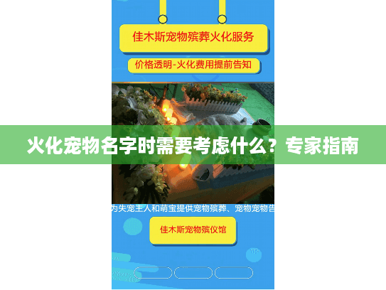 火化宠物名字时需要考虑什么？专家指南