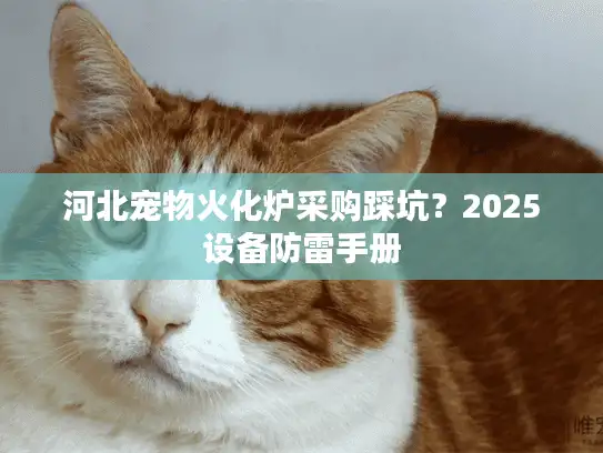 河北宠物火化炉采购踩坑？2025设备防雷手册