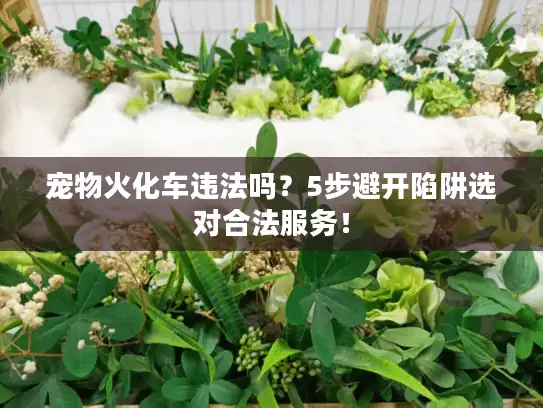 宠物火化车违法吗?5步避开陷阱选对合法服务! 宠物火化车违法吗?5步避开陷阱选对合法服务!