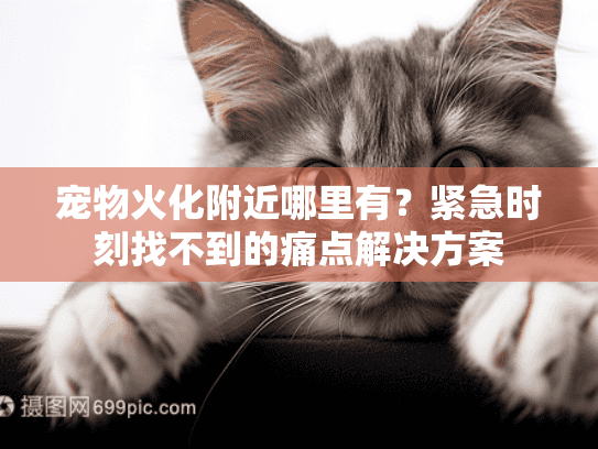 宠物火化附近哪里有？紧急时刻找不到的痛点解决方案