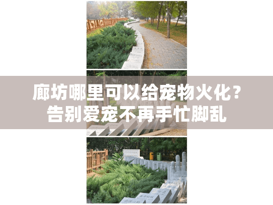 廊坊哪里可以给宠物火化？告别爱宠不再手忙脚乱