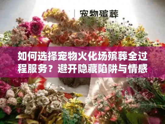 如何选择宠物火化场殡葬全过程服务？避开隐藏陷阱与情感坑洞