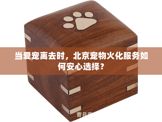 当爱宠离去时，北京宠物火化服务如何安心选择？