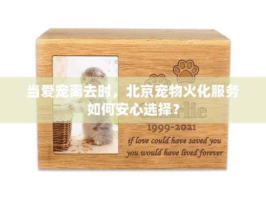 当爱宠离去时，北京宠物火化服务如何安心选择？