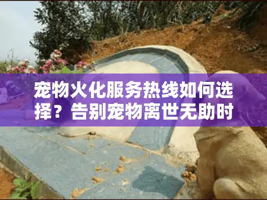 宠物火化服务热线如何选择?告别宠物离世无助时刻 宠物火化服务热线如何选择?告别宠物离世无助时刻