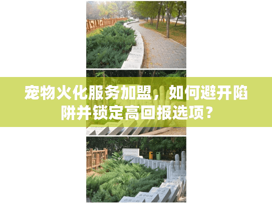 宠物火化服务加盟，如何避开陷阱并锁定高回报选项？