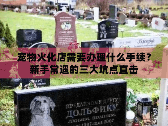 宠物火化店需要办理什么手续?新手常遇的三大坑点直击 宠物火化店需要办理什么手续?新手常遇的三大坑点直击
