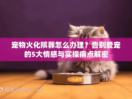 宠物火化殡葬怎么办理？告别爱宠的5大情感与实操痛点解密