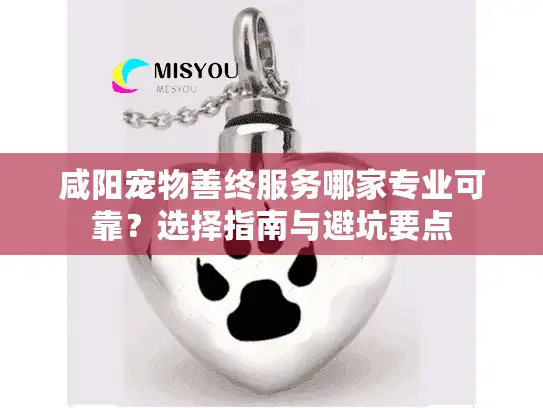 咸阳宠物善终服务哪家专业可靠?选择指南与避坑要点 咸阳宠物善终服务哪家专业可靠?选择指南与避坑要点