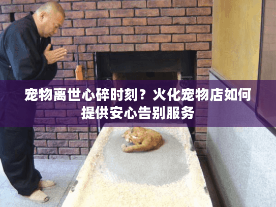 宠物离世心碎时刻?火化宠物店如何提供安心告别服务 宠物离世心碎时刻?火化宠物店如何提供安心告别服务