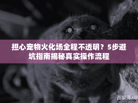 担心宠物火化场全程不透明?5步避坑指南揭秘真实操作流程 担心宠物火化场全程不透明?5步避坑指南揭秘真实操作流程