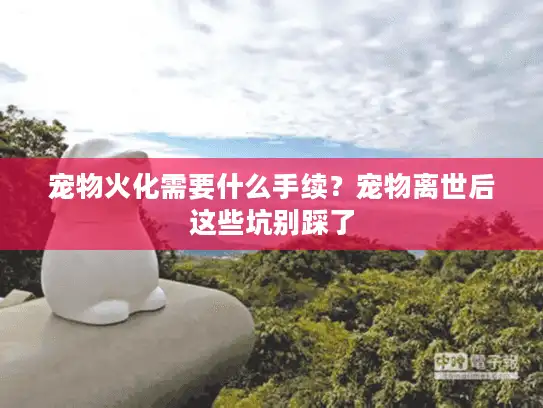 宠物火化需要什么手续？宠物离世后这些坑别踩了