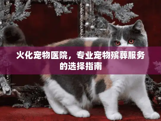 火化宠物医院，专业宠物殡葬服务的选择指南