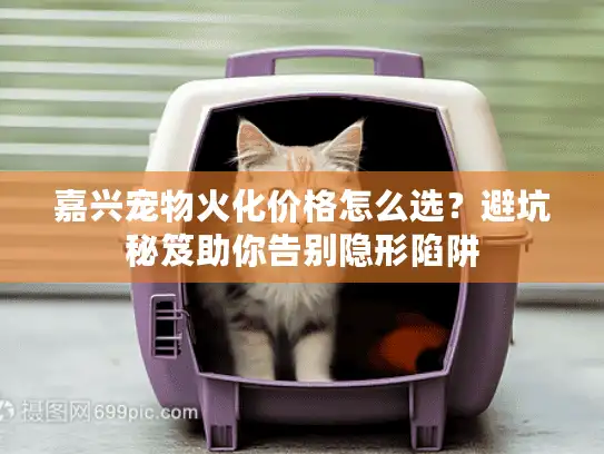 嘉兴宠物火化价格怎么选？避坑秘笈助你告别隐形陷阱