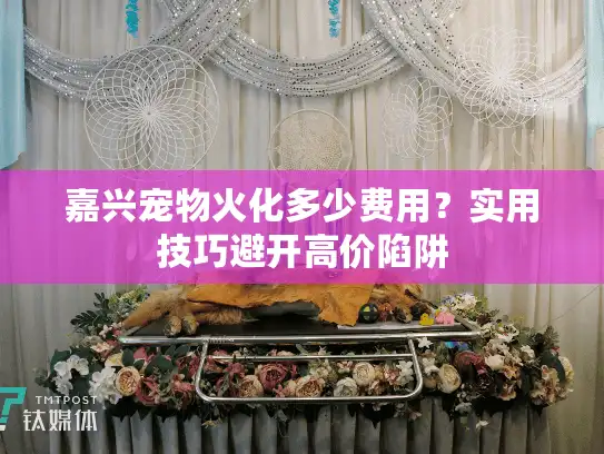 嘉兴宠物火化多少费用?实用技巧避开高价陷阱 嘉兴宠物火化多少费用?实用技巧避开高价陷阱