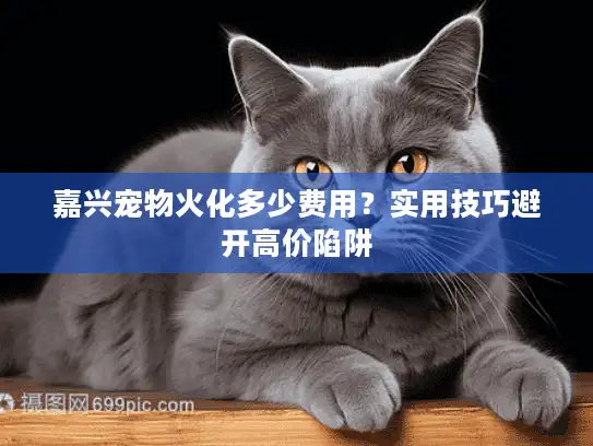嘉兴宠物火化多少费用?实用技巧避开高价陷阱 嘉兴宠物火化多少费用?实用技巧避开高价陷阱