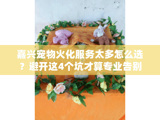 嘉兴宠物火化服务太多怎么选？避开这4个坑才算专业告别