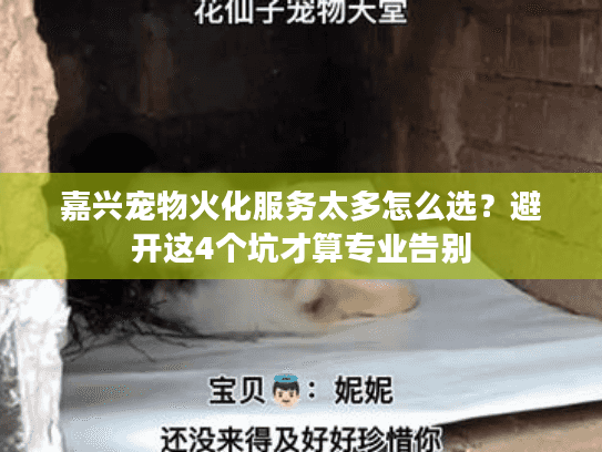 嘉兴宠物火化服务太多怎么选？避开这4个坑才算专业告别