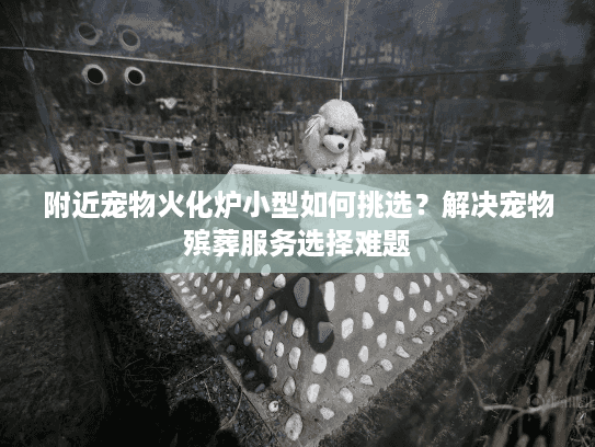附近宠物火化炉小型如何挑选？解决宠物殡葬服务选择难题