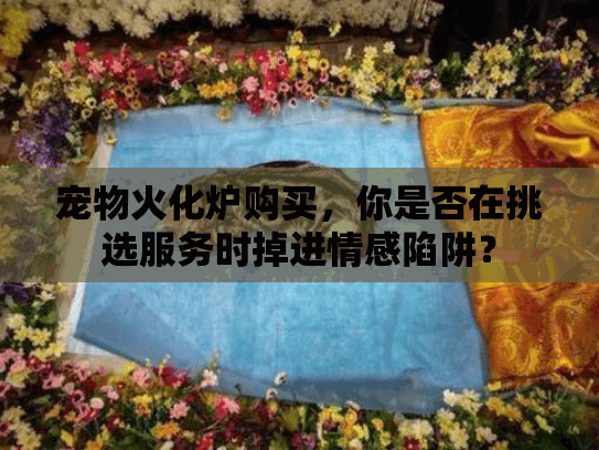 宠物火化炉购买，你是否在挑选服务时掉进情感陷阱？