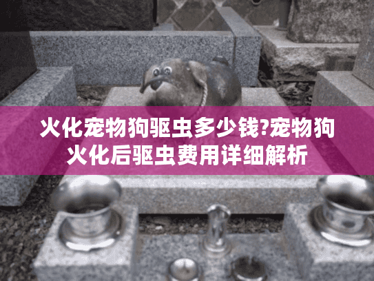 火化宠物狗驱虫多少钱?宠物狗火化后驱虫费用详细解析 火化宠物狗驱虫多少钱?宠物狗火化后驱虫费用详细解析