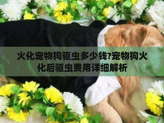 火化宠物狗驱虫多少钱?宠物狗火化后驱虫费用详细解析 火化宠物狗驱虫多少钱?宠物狗火化后驱虫费用详细解析