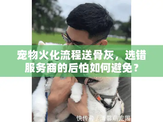宠物火化流程送骨灰，选错服务商的后怕如何避免？