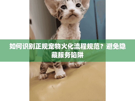 如何识别正规宠物火化流程规范?避免隐藏服务陷阱 如何识别正规宠物火化流程规范?避免隐藏服务陷阱