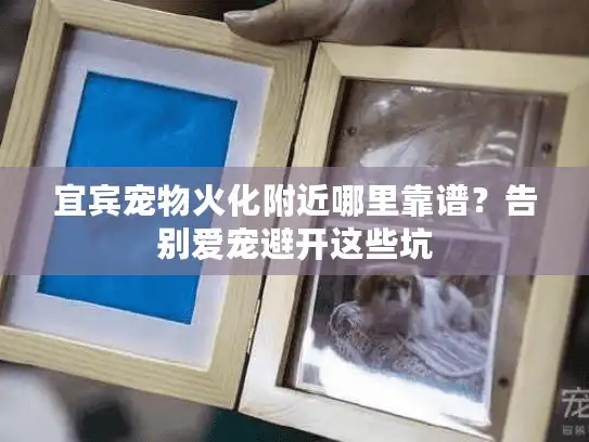宜宾宠物火化附近哪里靠谱？告别爱宠避开这些坑