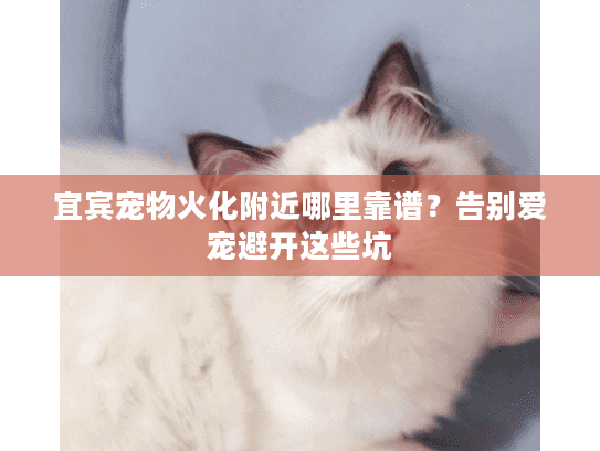 宜宾宠物火化附近哪里靠谱？告别爱宠避开这些坑