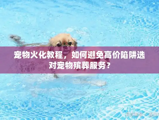 宠物火化教程，如何避免高价陷阱选对宠物殡葬服务？