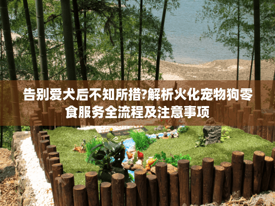 告别爱犬后不知所措?解析火化宠物狗零食服务全流程及注意事项 告别爱犬后不知所措?解析火化宠物狗零食服务全流程及注意事项