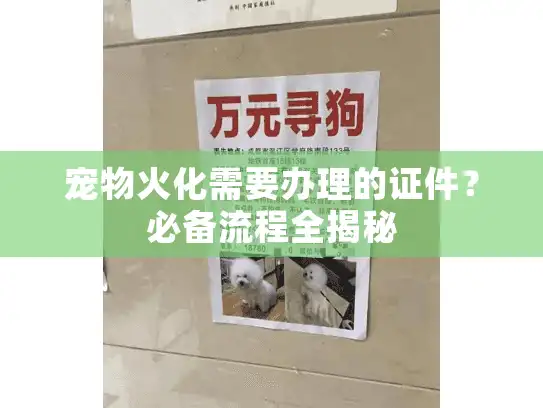 宠物火化需要办理的证件？必备流程全揭秘