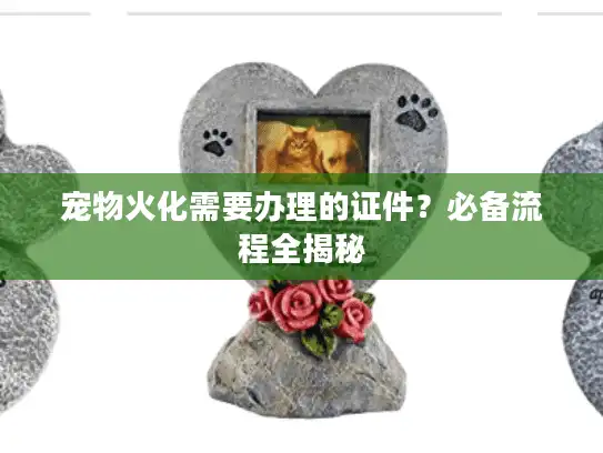 宠物火化需要办理的证件？必备流程全揭秘