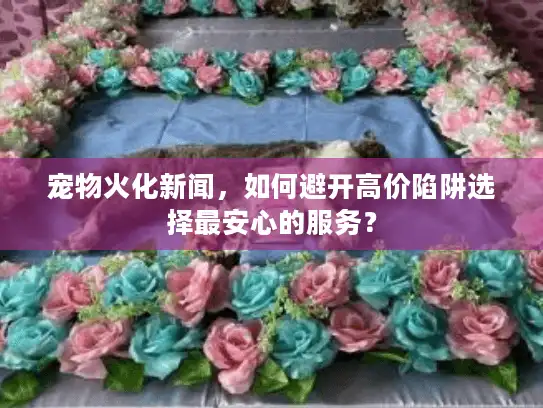 宠物火化新闻,如何避开高价陷阱选择最安心的服务? 宠物火化新闻,如何避开高价陷阱选择最安心的服务?