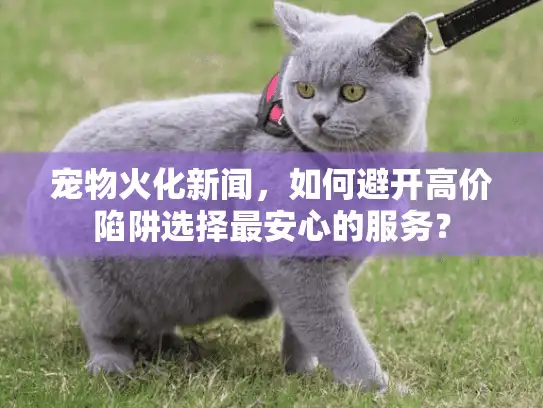 宠物火化新闻,如何避开高价陷阱选择最安心的服务? 宠物火化新闻,如何避开高价陷阱选择最安心的服务?