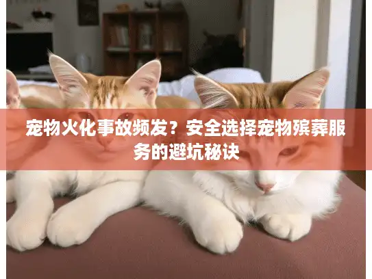 宠物火化事故频发?安全选择宠物殡葬服务的避坑秘诀 宠物火化事故频发?安全选择宠物殡葬服务的避坑秘诀