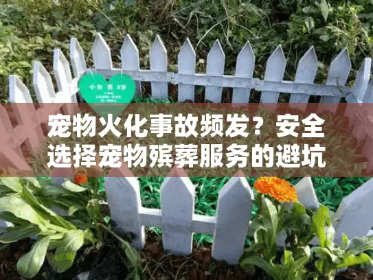 宠物火化事故频发?安全选择宠物殡葬服务的避坑秘诀 宠物火化事故频发?安全选择宠物殡葬服务的避坑秘诀