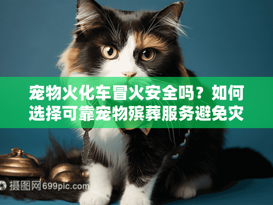 宠物火化车冒火安全吗？如何选择可靠宠物殡葬服务避免灾难